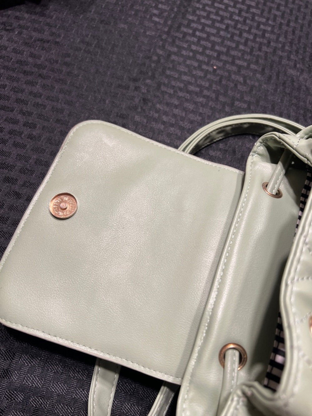Alexis Bendel Light Sage Quilted Mini Drawstring Backpack with Gold Logo - Picture 5 of 8